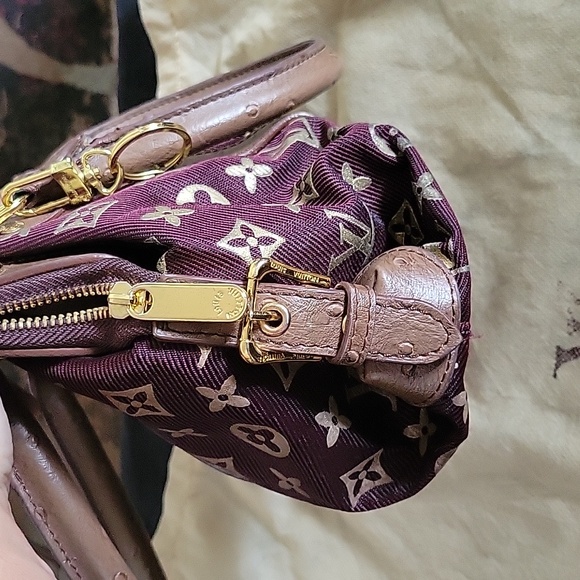 Louis Vuitton Mini Bag in Brown and Gold - Picture 8 of 13